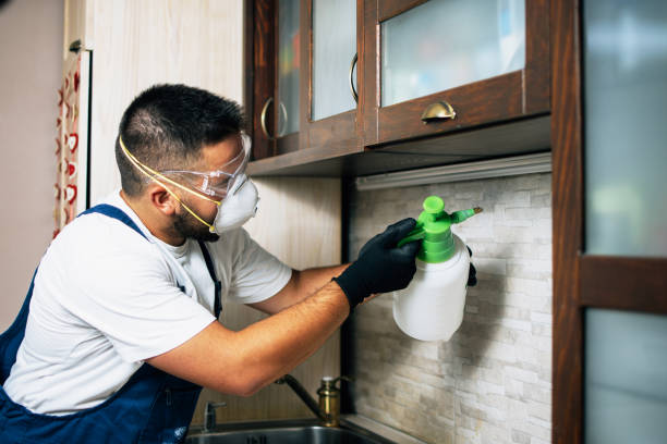 Pest Control for Restaurants in Broken Bow, NE