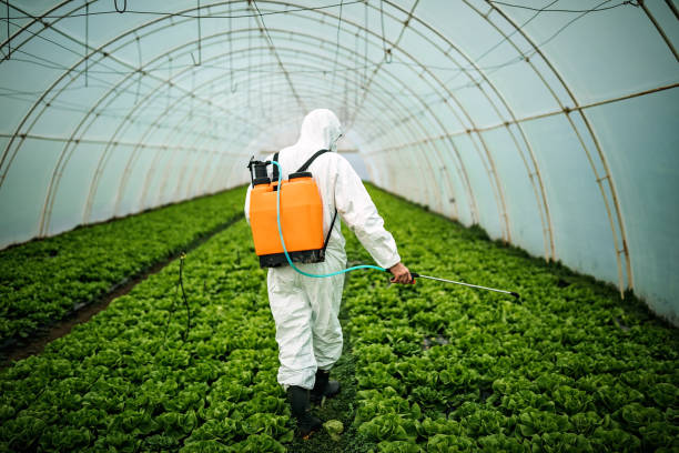 Best Pest Control Cost  in Broken Bow, NE