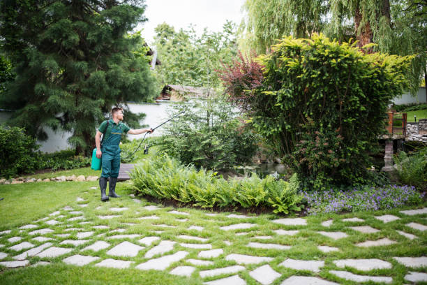 Best Pest Removal Services  in Broken Bow, NE
