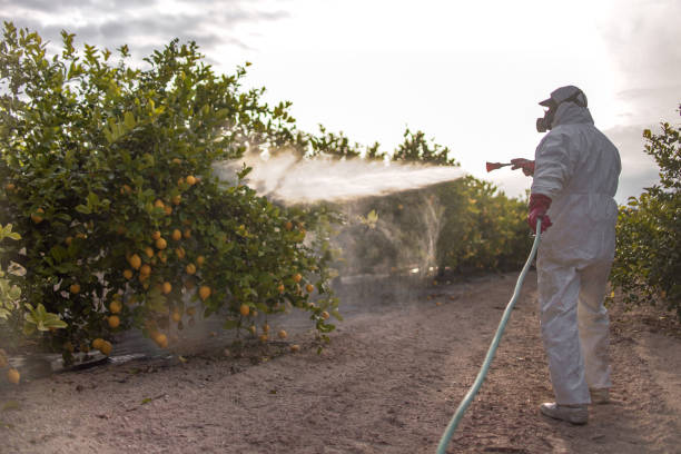 Best Pest Control for Restaurants  in Broken Bow, NE