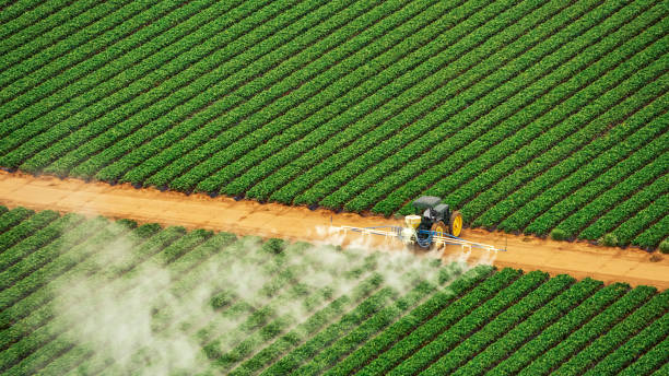 Pest Control Cost in Broken Bow, NE