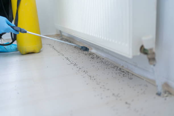 Best Cockroach Control Services  in Broken Bow, NE